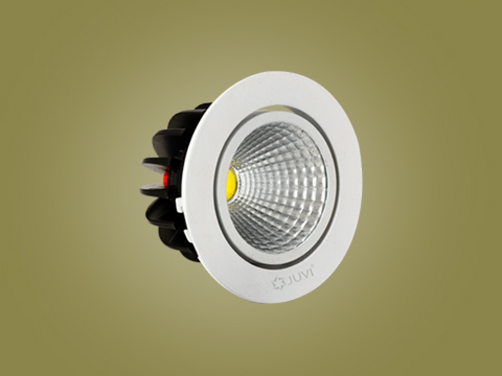 SPOT LIGHTS -  BULLET ZOOM SERIES (CW / WW / NW)