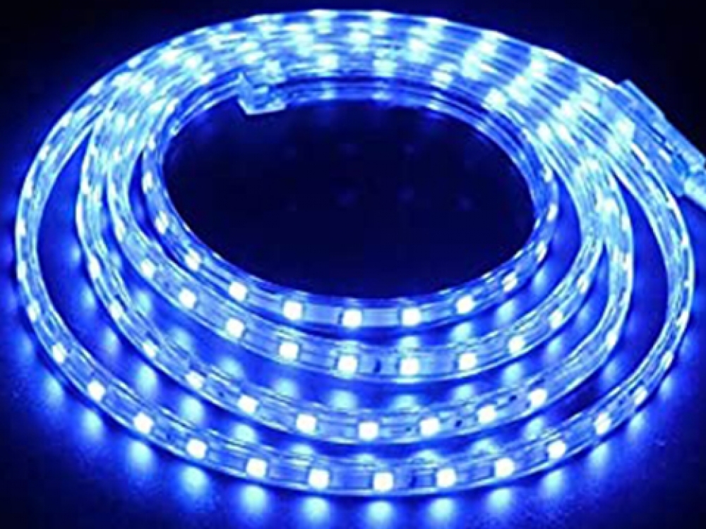 MULTI COLOUR STRIP LIGHTS (CW / WW / RED / BLUE / GREEN)